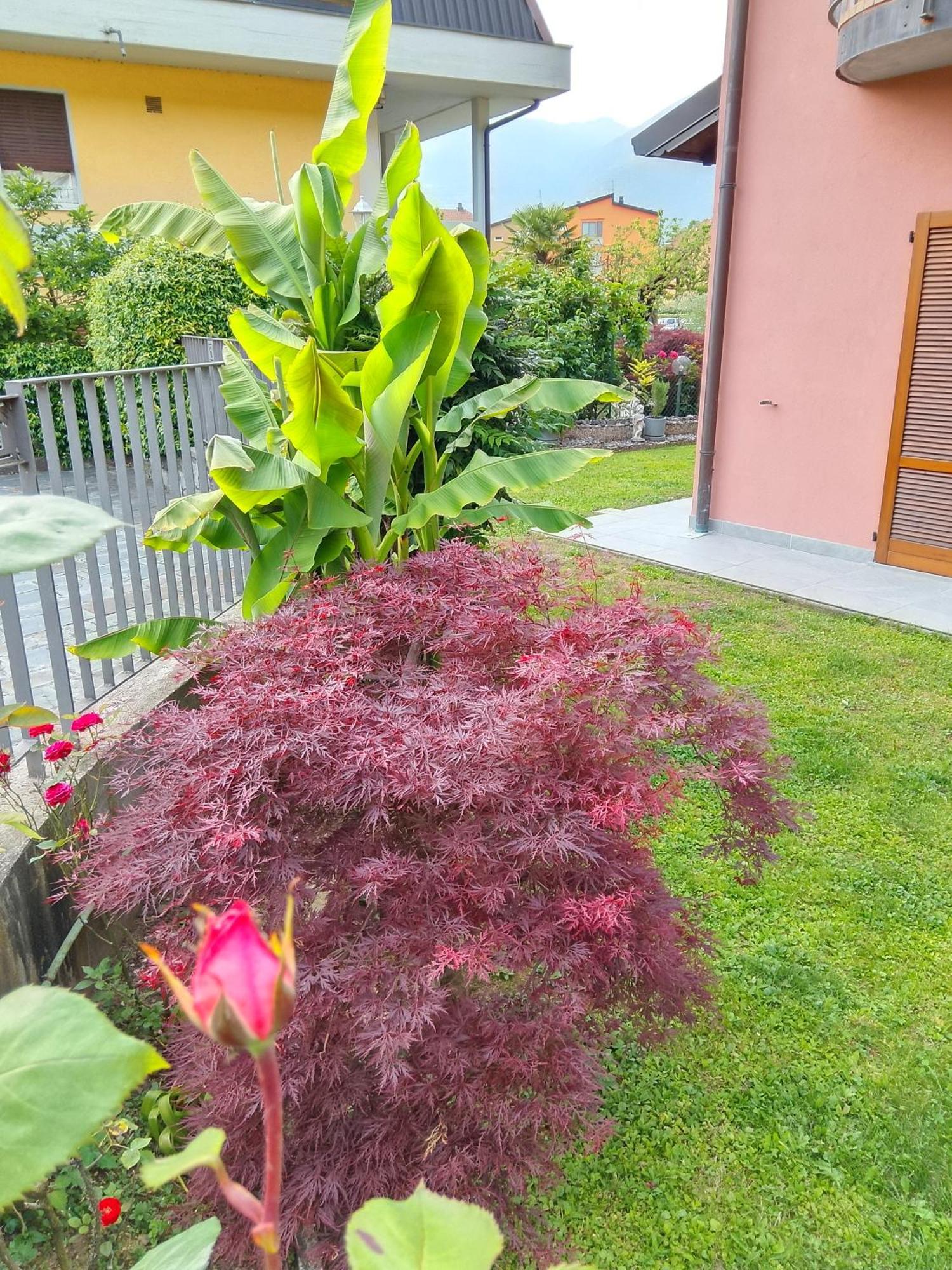 Doris' Home Pisogne Dış mekan fotoğraf